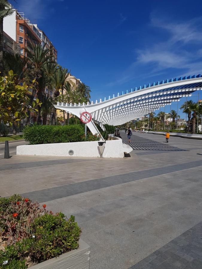 Apartament Carmen Torrevieja Exterior foto