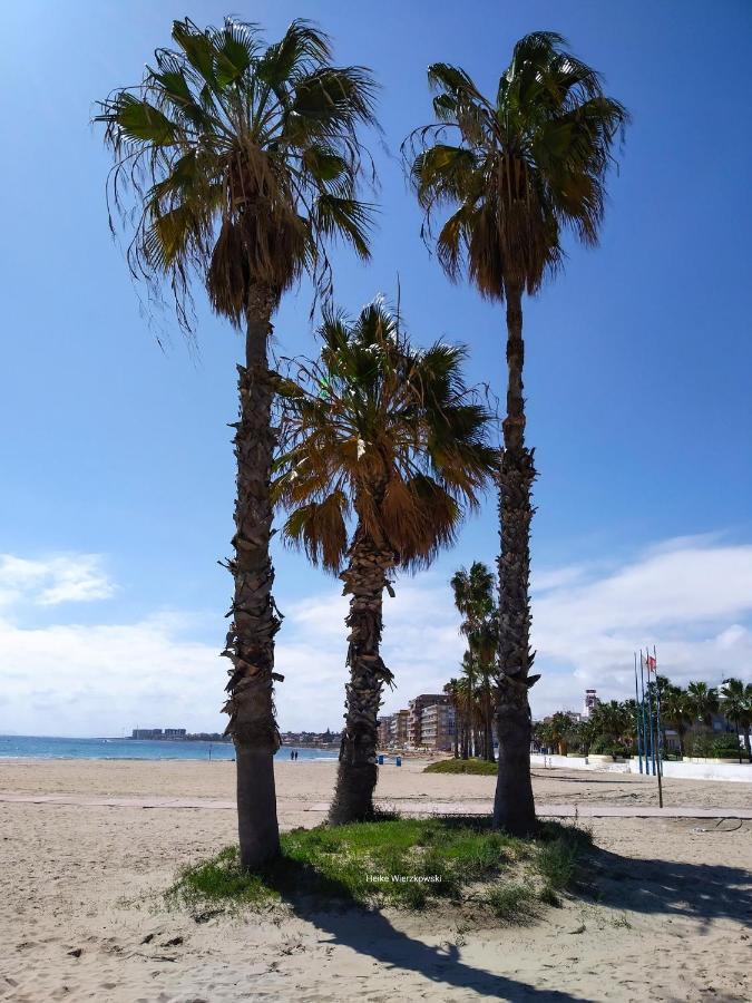 Apartament Carmen Torrevieja Exterior foto